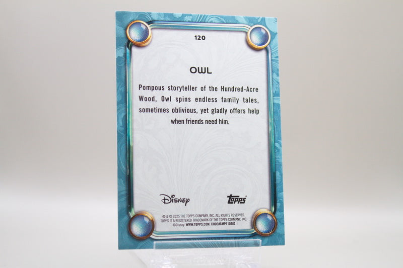 120 - Owl