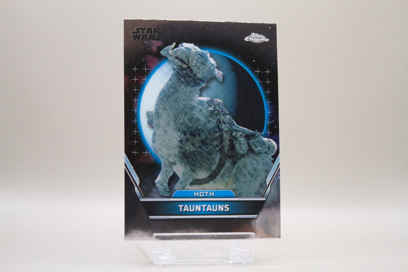 53 - Tauntauns