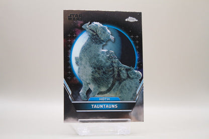53 - Tauntauns