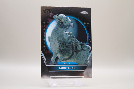 53 - Tauntauns
