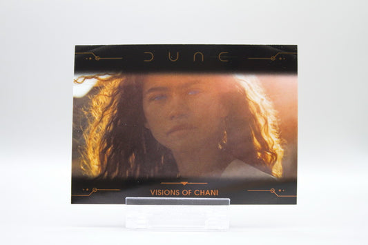 81 - Visions of Chani