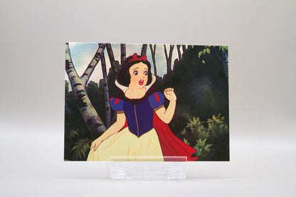 12 - The Dark Forest