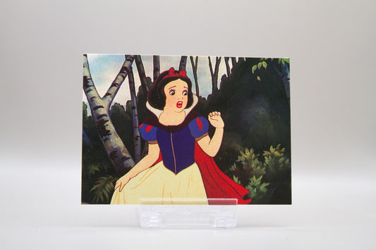 12 - The Dark Forest