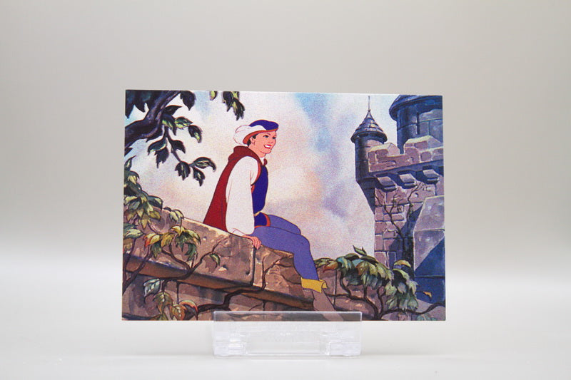 5 - The Prince Appears