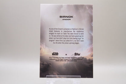 8 - Birnok