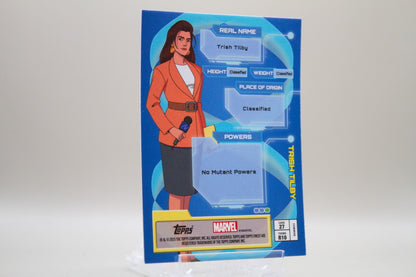 27 - Common Bronze - Trish Tilby