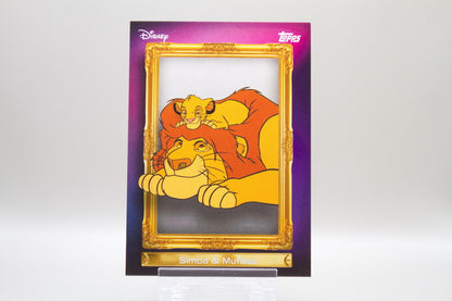FF-5 - Simba & Mufasa