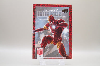 25 - Iron Man