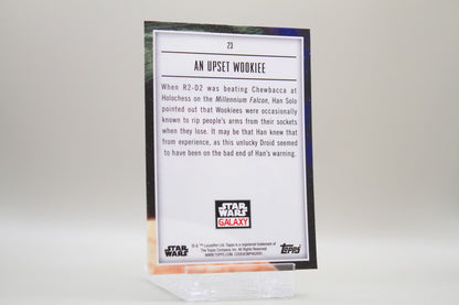 23 - An Upset Wookiee