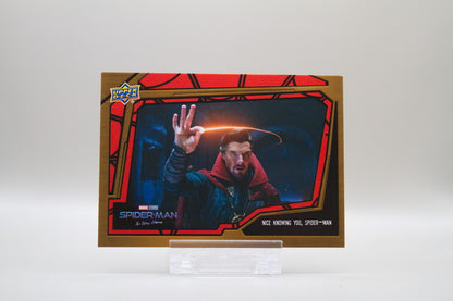 4 - Nice Knowing You, Spider-Man