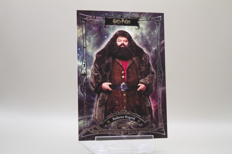 CHP-B-17 - Rubeus Hagrid