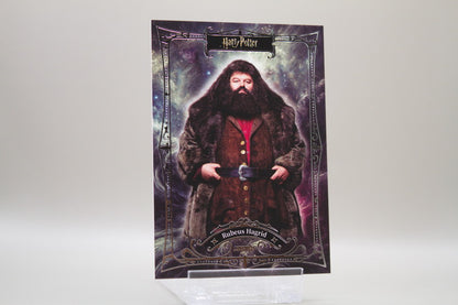 CHP-B-17 - Rubeus Hagrid