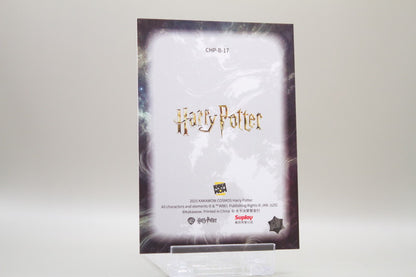 CHP-B-17 - Rubeus Hagrid