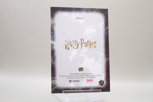 CHP-B-17 - Rubeus Hagrid