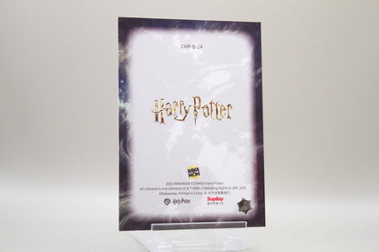 CHP-B-24 - Neville Longbottom