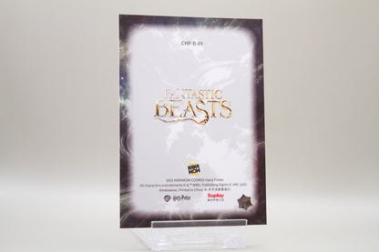 CHP-B-89 - Yusuf Kama