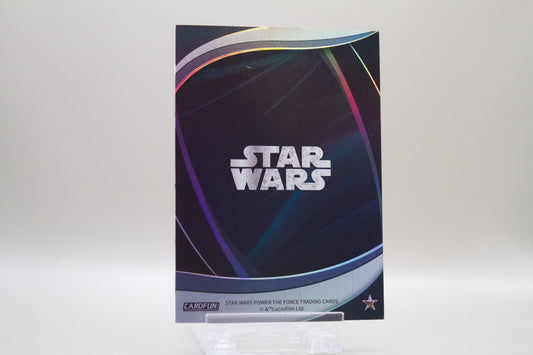 SW-BC10 - Bodhi Rook (Silver)