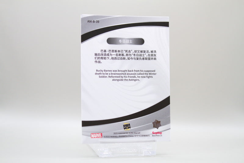 AM-B-39 - Winter Soldier