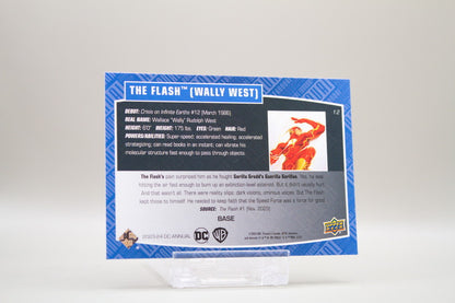 12 - The Flash (Wally West)