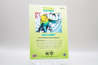 BW-15 - Black Canary