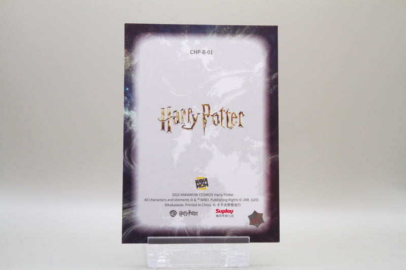 CHP-B-01 - Harry Potter