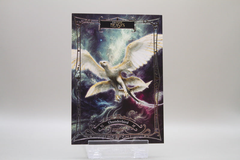 CHP-B-99 - Thunderbird