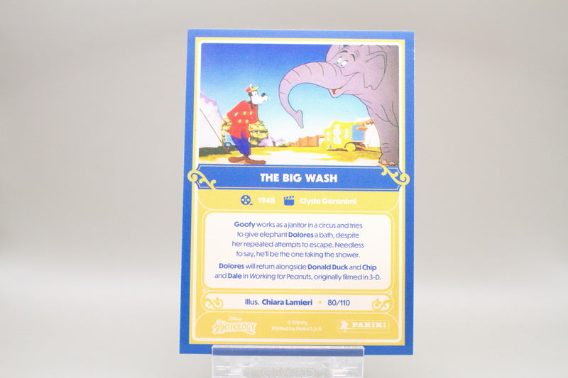 80 - The Big Wash (Rainbow)