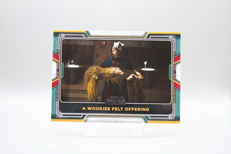 8 - A Wookiee Pelt Offering