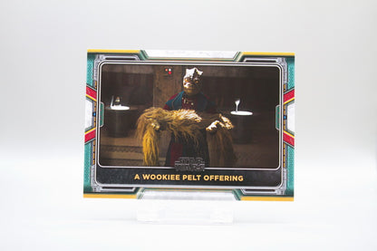 8 - A Wookiee Pelt Offering