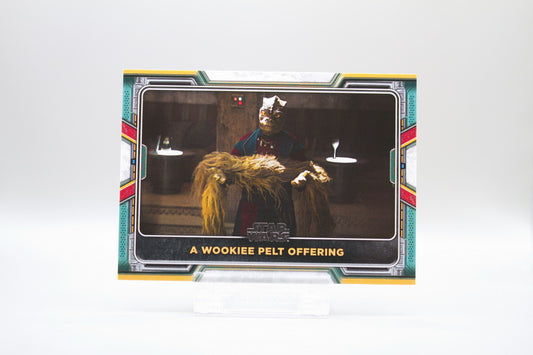 8 - A Wookiee Pelt Offering