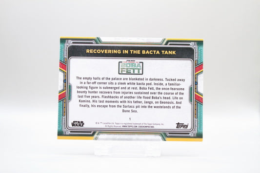 1 - Recovering in the Bacta Tank