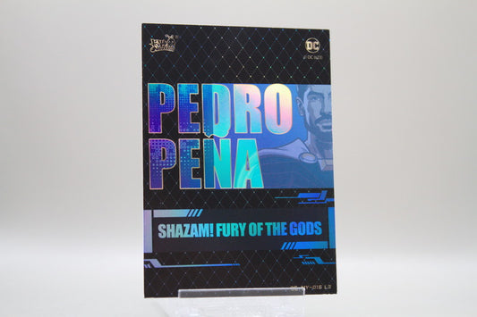 DC-MY-016 L3 - Pedro Pena