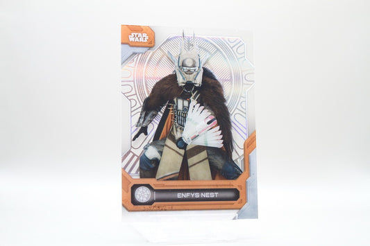 32 - Enfys Nest