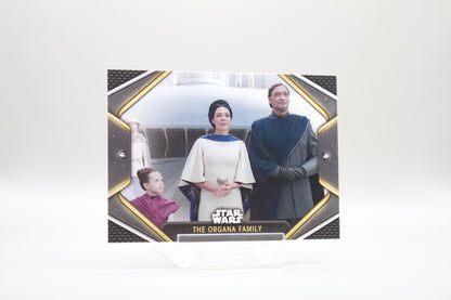 16 - The Organa Family