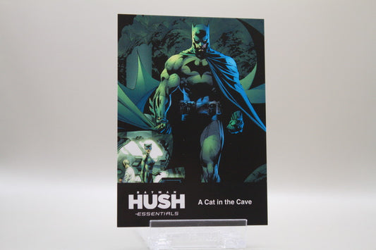 55 - A Cat in a Cave