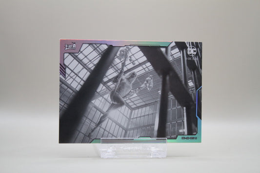 DC-JQ-015 L1 - Suicide Squad