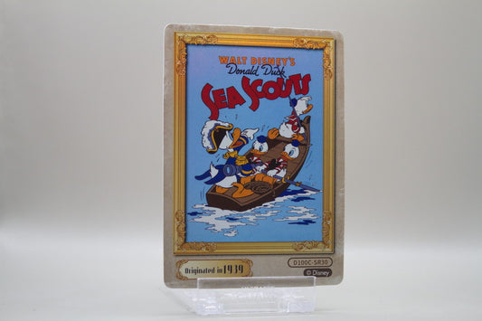 D100C-SR30 - Sea Scouts