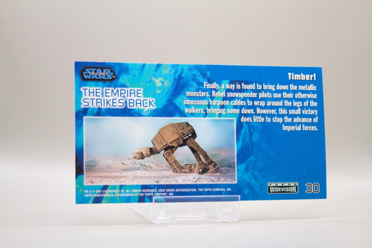 30 - Harpooning a Whale