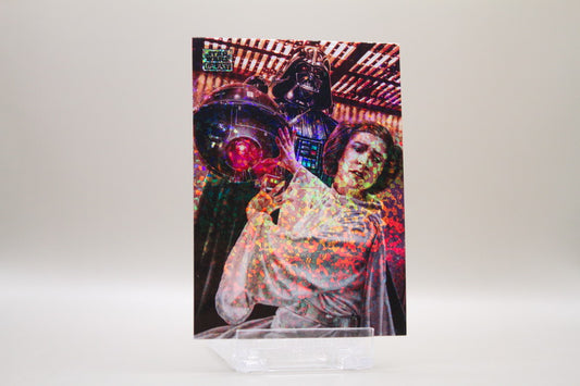 2 - Darth Vader and Princess Leia