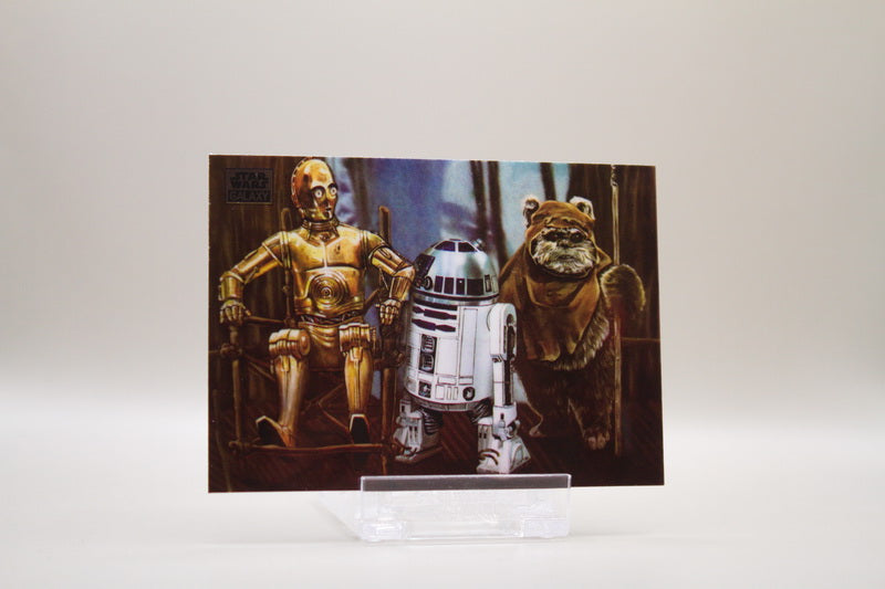 18 - Friends Forever