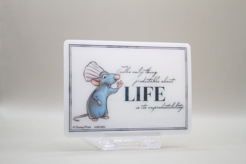 D100-HR31 - Remy (The only thing predictable about LIFE is its unpredictability)