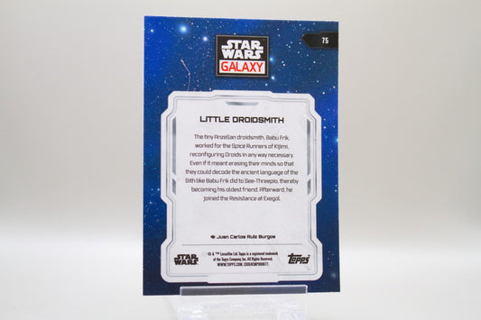 75 - Little Droidsmith