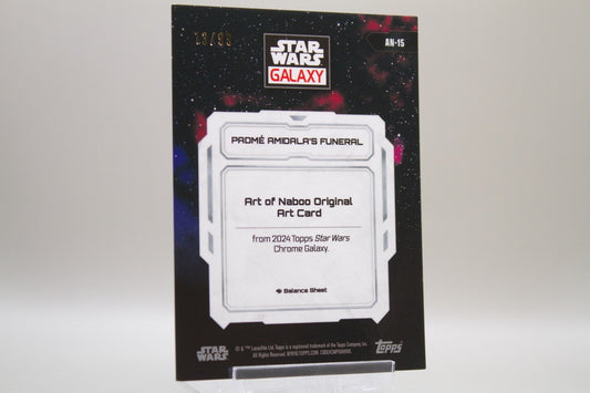 AN-15 - Padmé Amidala's Funeral /99