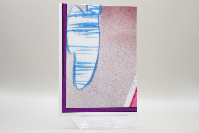 203b - Dental Flossie