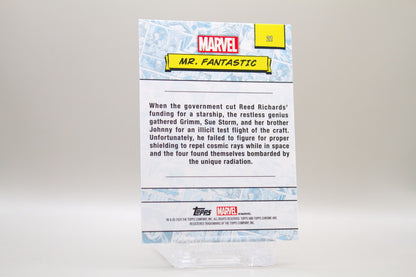 21 - Mr. Fantastic