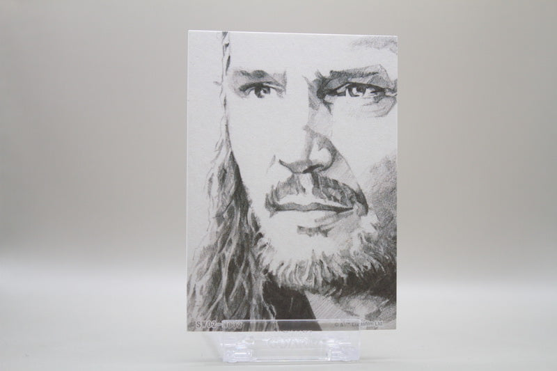 SW02-N032 - Qui-Gon Jinn