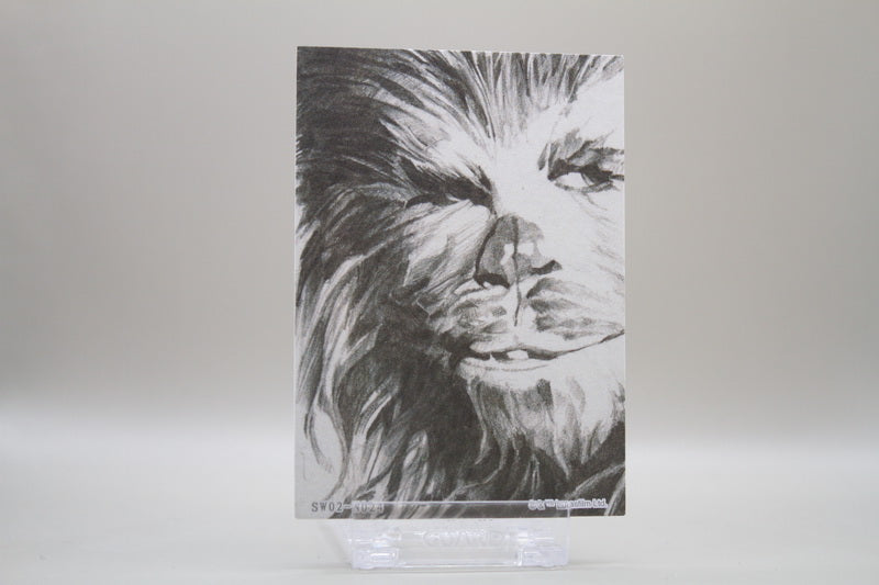 SW02-N024 - Chewbacca