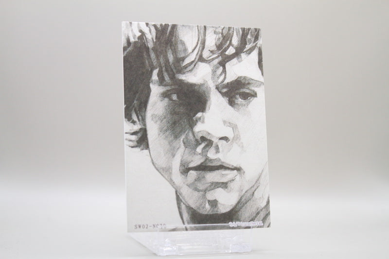 SW02-N020 - Luke Skywalker